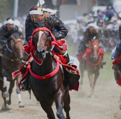 伝統的な馬事文化が残る馬がいる街